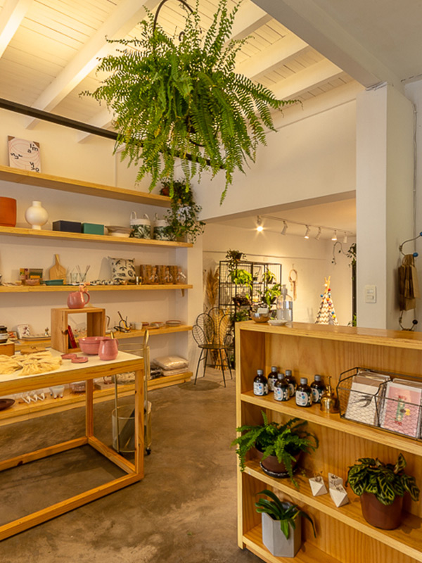 COLLECTOR<br>A Pé 750M • 10 MIN*